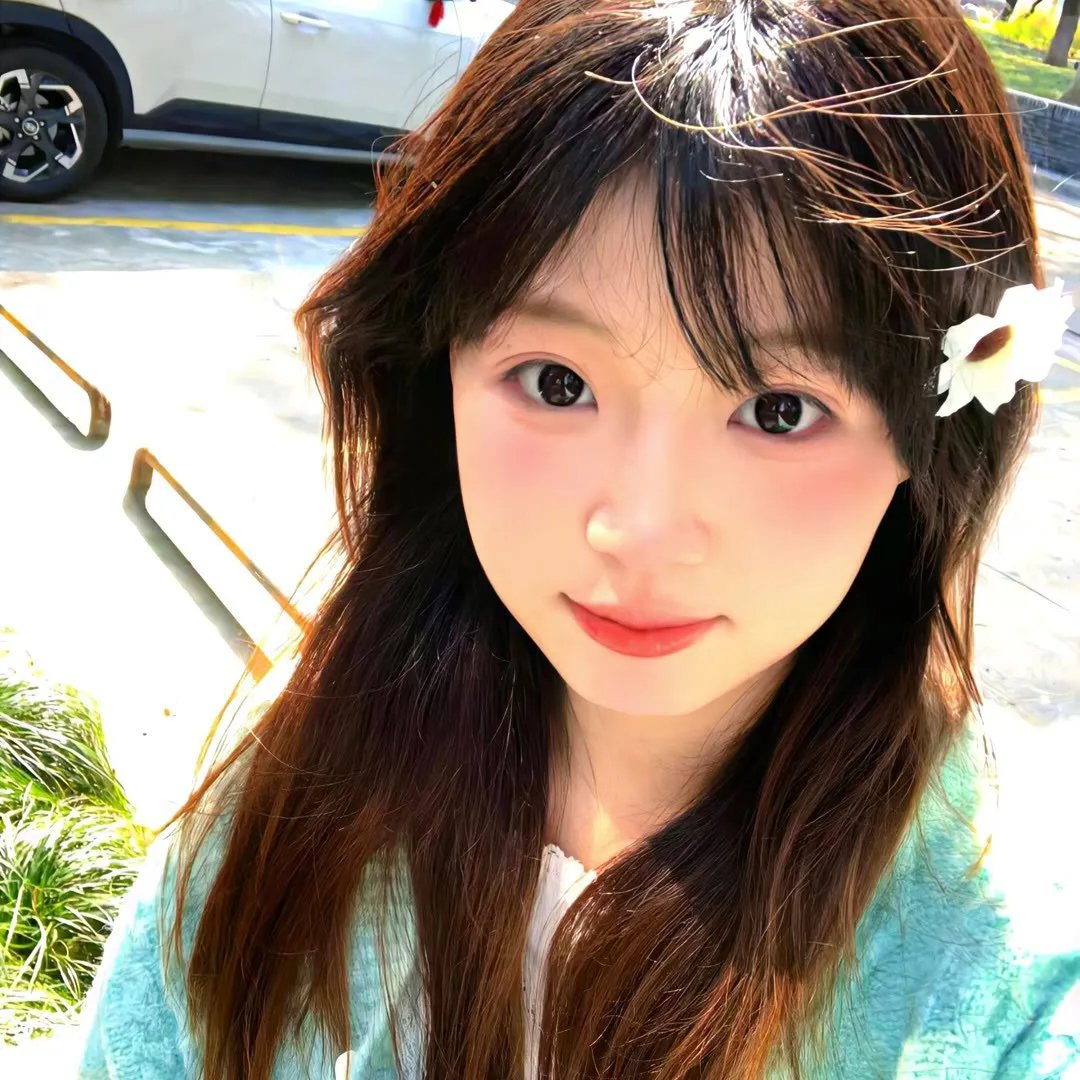 白狼